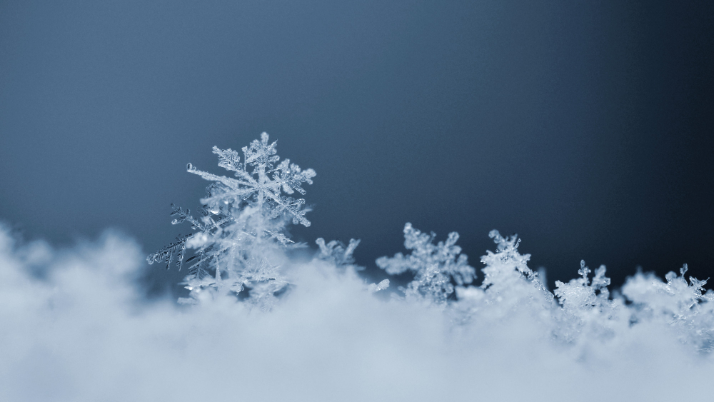 Schneeflocke